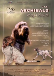 Plagátik - Chovný pes Archibald Moja Láska
